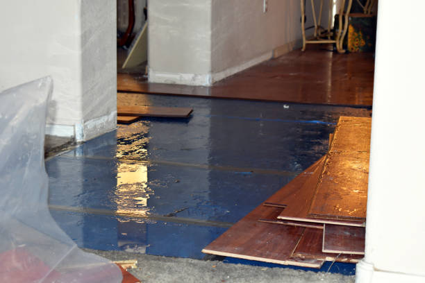 Professional Burst Pipe Cleanup technician working in Jefferson, MA